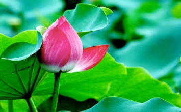Ở đâu có ta, ở đó có đau khổ